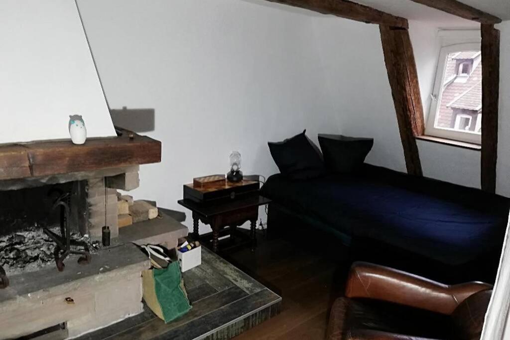 La Chaumiere Apartment Strasbourg Luaran gambar