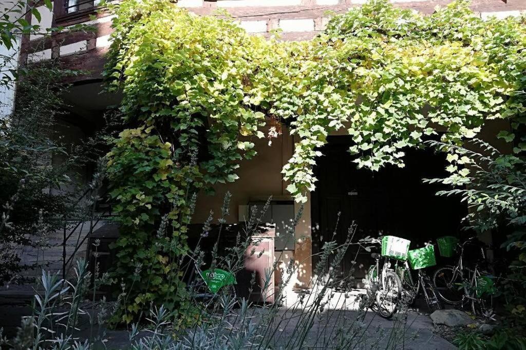La Chaumiere Apartment Strasbourg Luaran gambar
